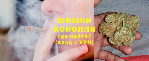 трава Елизово