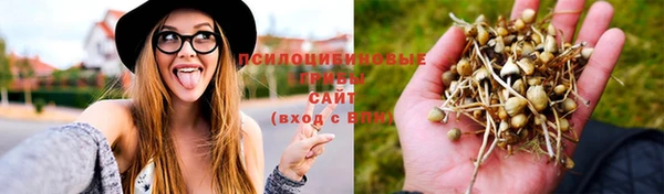стаф Елабуга