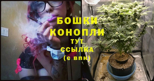 стаф Елабуга