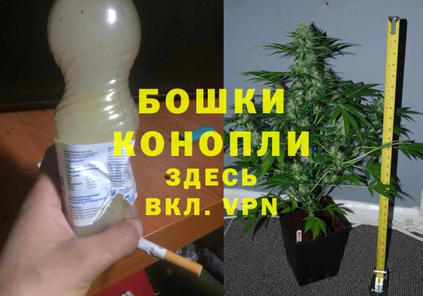 трава Елизово