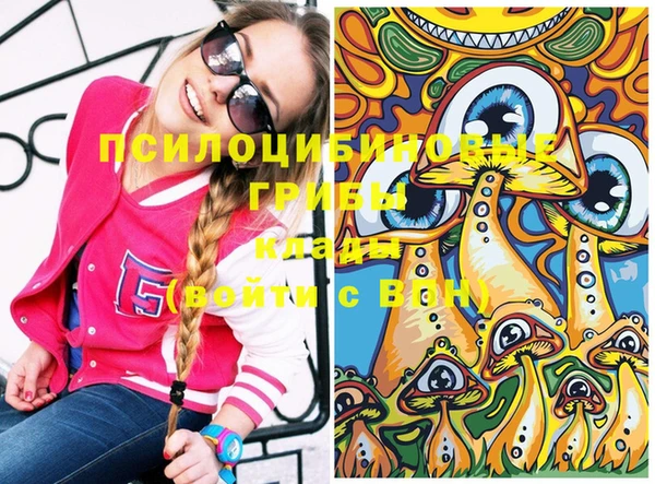 трава Елизово