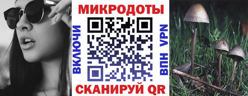 Псилоцибиновые грибы Magic Shrooms  Купить закладки  Стерлитамак 